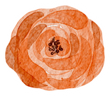 Watercolor Orange Rose with Stroke
